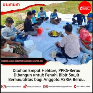 PUSAT PEMBIBITAN KELAPA SAWIT SELUAS EMPAT HEKTAR DIBANGUN UNTUK MEMENUHI KEBUTUHAN BIBIT SAWIT ASRM BERAU