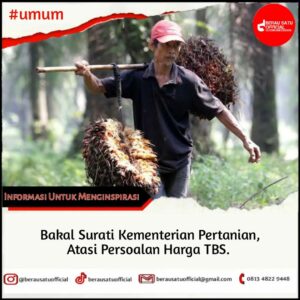 ATASI PERSOALAN TBS, PEMKAB BERAU BAKAL SURATI KEMENTERIAN PERTANIAN