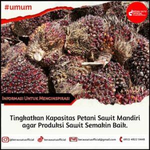 KETUA ASRM BERAU MENGHIMBAU PENINGKATAN KAPASITAS PETANI SAWIT MANDIRI AGAR PRODUKSI SAWIT SEMAKIN BAIK
