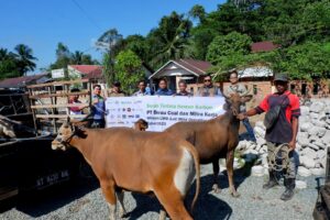 PT Berau Coal dan Mitra Kerja Salurkan Ratusan Hewan Kurban untuk Masyarakat