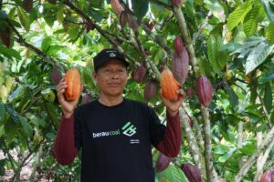 Geluti Usaha Cokelat Sejak 2002, Saenuddin Terima Dampingan PT. Berau Coal dan Berau Cocoa