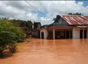 Diduga karena Pembabatan Hutan, DPRD Berau Minta Lakukan Reboisasi