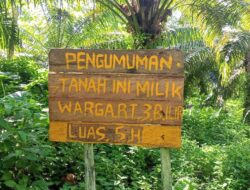Belum Tuntas Sengketa Lahan, Kebun Sawit Yayasan Al-Itisham Kembali Diserobot