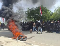 Solidaritas Nasional Merambah Ke Berau, Ratusan Massa Geruduk DPRD.