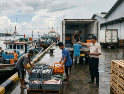 Potensi Besar, Kewenangan Terbatas: Ekspor Hasil Laut Belum Sumbang PAD