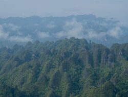 Mengenal Geopark Sangkulirang Mangkalihat: Dari Lukisan Purba, Karst Raksasa, Hingga Ekowisata Di Berau