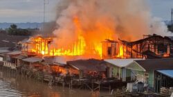 Si Jago Merah Mengamuk, Suasana Pagi Milono Berubah Mencekam