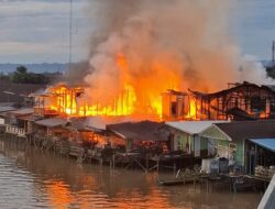 Si Jago Merah Mengamuk, Suasana Pagi Milono Berubah Mencekam