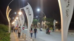 Minta PJU Dibongkar, Bupati: Terlalu Rapat dan Banyak yang Mati