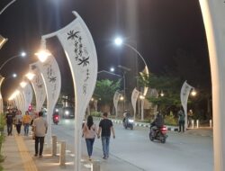 Minta PJU Dibongkar, Bupati: Terlalu Rapat dan Banyak yang Mati