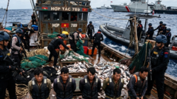 DPRD Berau Desak Pemprov Kaltim Tindak Tegas Praktik Ilegal Fishing di Pesisir Berau