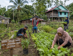 Swasembada Pangan Dinilai Bisa Perkuat Ekonomi Kampung