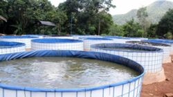 Banyak Berhenti Usai Panen Pertama, DPRD Soroti Pengelolaan Bioflok