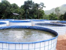 Banyak Berhenti Usai Panen Pertama, DPRD Soroti Pengelolaan Bioflok